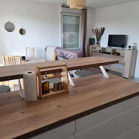 Apartman Proche Meett, Aeroport Blagnac, Airbus